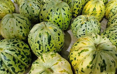 可以直接吃的瓜