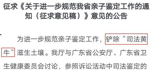 亲子鉴定吃瓜中心,吃瓜群众如何见证家庭真相