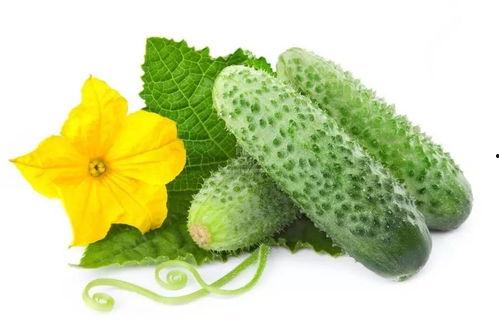 沈夙吃瓜系统,揭秘娱乐圈幕后风云