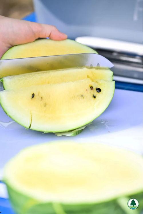 本瓜可以怎么吃,创意烹饪指南