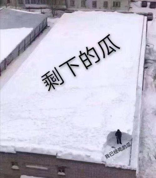 吃瓜改歌词,歌词新演绎