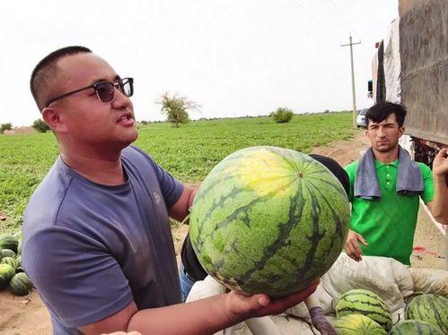 乌兰吃瓜,揭秘娱乐圈幕后故事