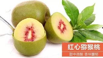 湛江本地吃瓜,探寻湛江本土美食风情