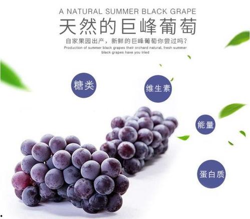 吃瓜倒吐葡萄皮,揭秘瓜果食用背后的趣味与智慧