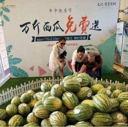 固城吃瓜,揭秘网络热点的背后故事