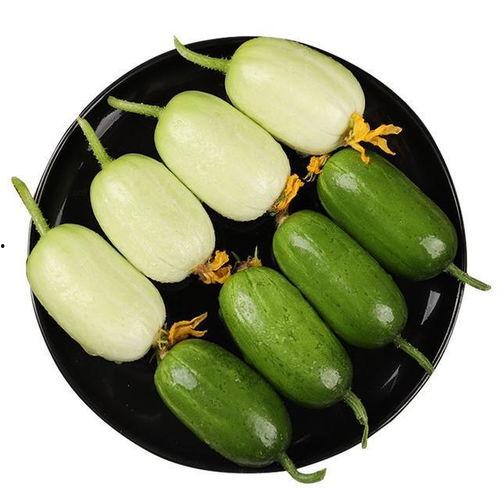 金丝搅瓜嫩瓜怎么吃,金丝搅瓜嫩瓜的多样美味食用指南