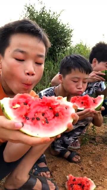 野地可以吃的瓜,盘点那些可食用的野地瓜果宝藏
