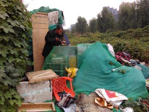 吃瓜捡破烂,揭秘娱乐圈的另类生存法则