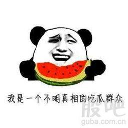 当我们吃瓜群众,吃瓜群众视角下的社会百态