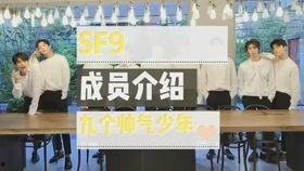 仓鼠可以吃哈密瓜吗,哈密瓜的适宜性解析