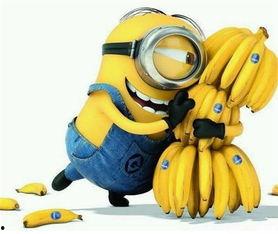 小欧每日吃瓜,揭秘娱乐圈新鲜事